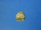 Sillimanite image.