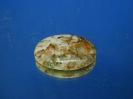 Datolite image.