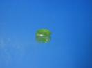 Olivine image.