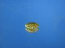 Titanite image.