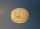 Ulexite image.