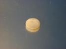 Ulexite image.