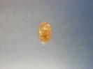 Quartz image.