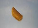 Chalcedony image.
