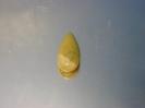 Chalcedony image.
