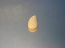 Chalcedony image.