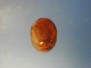 Quartz image.