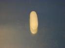 Cryolite image.