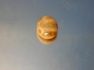 Calcite image.