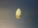Calcite image.