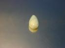 Calcite image.