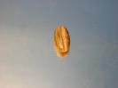 Calcite image.