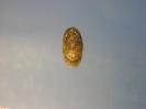 Chalcedony image.