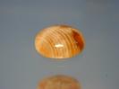 Opal image.
