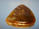 Chalcedony image.