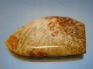 Chalcedony image.