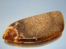 Chalcedony image.