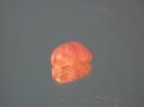 Chalcedony image.
