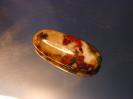 Chalcedony image.