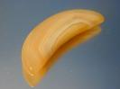 Chalcedony image.