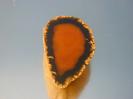 Chalcedony image.