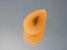 Chalcedony image.