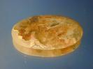 Chalcedony image.