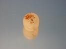 Chalcedony image.