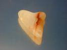 Chalcedony image.