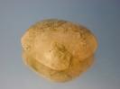 Chalcedony image.