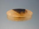 Chalcedony image.