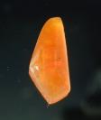 Opal image.