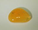 Opal image.