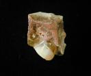 Opal image.