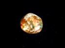 Opal image.
