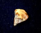 Opal image.