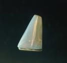 Opal image.