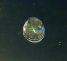 Opal image.