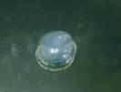 Opal image.