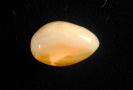 Opal image.