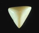 Opal image.