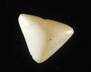 Opal image.