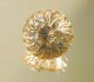 Quartz image.