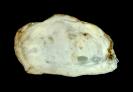 Chalcedony image.