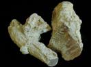 Chalcedony image.