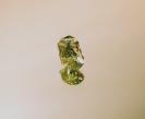 Tourmaline image.