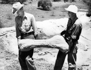 Glen Evans (left) who managed much of the WPA effort to collect Texas fossils.