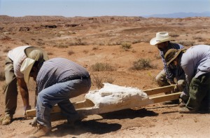 Students haul new dinosaur from field site in northern Arizona
