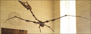 The Texas Pterosaur