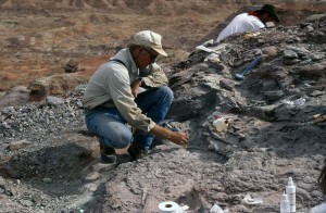 Tim Rowe Unearthing Sarahsaurus